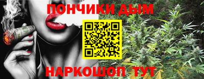 индика Кинель