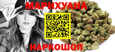 индика Кинель