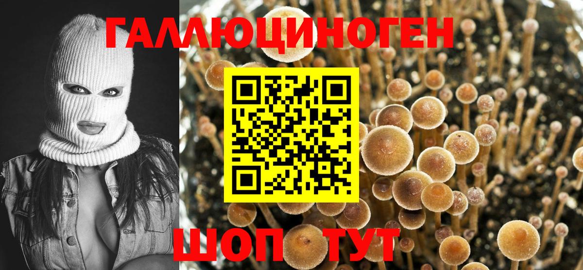 Галлюциногенные грибы мицелий  хочу наркоту  Кувандык  Вход с VPN  Галлюциногенные грибы Psilocybine cubensis 